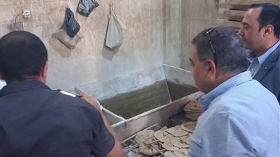 محافظ الدقهلية يقود حملة تفتيشية على المخابز بقرية أوليله