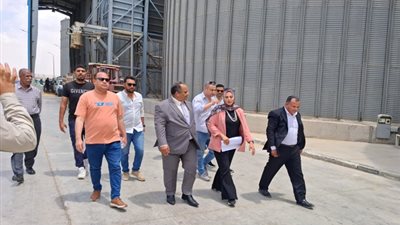 تموين الإسماعيلية يشدد الرقابة على توريد القمح ويُشيد بارتفاع الجودة
