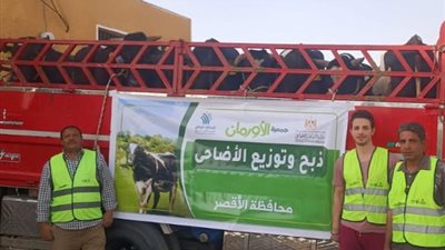 50 طن لحوم أضاحى و75 عجل بلدى للأسر الاولى بالرعاية