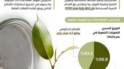 القطاع الخاص يقود التمويل التنموي في مصر باستراتيجية وطنية متكاملة