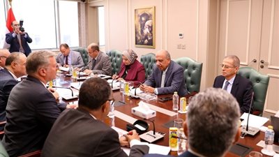 وزيرا البترول والكهرباء يستعرضان خطة العمل لاستقرار الطاقة الكهربائية