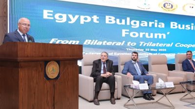 تحويل مصر إلى مركز إقليمي رائد في الصناعة والنقل واللوجستيات