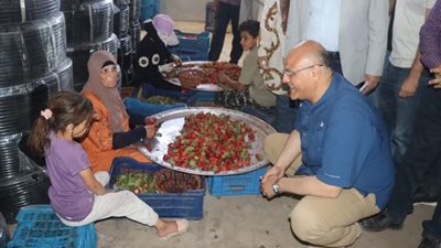 فاكهة القليوبية تتألق عالميًا
