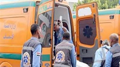 مصرع وإصابة 13 في حادث انقلاب سيارة ميكروباص بملوي