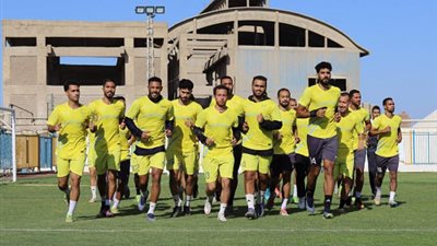 بطاقة التاهل لدورى المحترفين حايرة بين مالية كفرالزيات ودلفى.