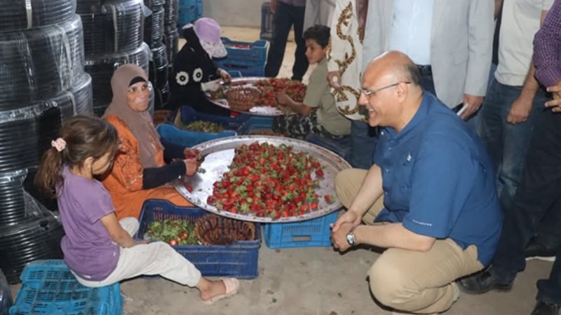 بوابة الجمهورية