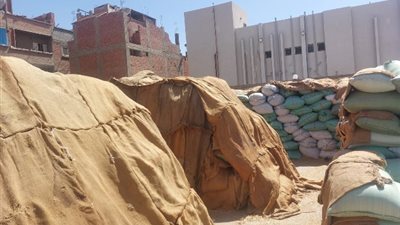محافظ أسيوط: توريد أكثر من 153 ألف طن من القمح المحلي حتى الآن
