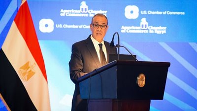 وزير الخارجية: جذب الاستثمارات الأمريكية أولوية رئيسية للدولة