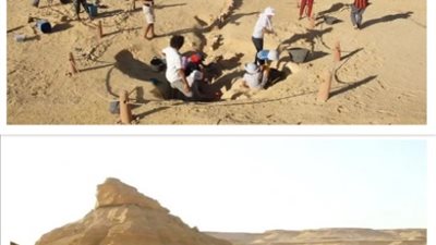 وادي الحيتان بالفيوم.. متحف طبيعي عمره 40 مليون سنة