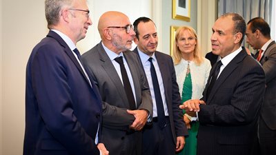 وزير الخارجية يلتقى أعضاء لجنة العلاقات مع دول المشرق بالبرلمان الأوروبى