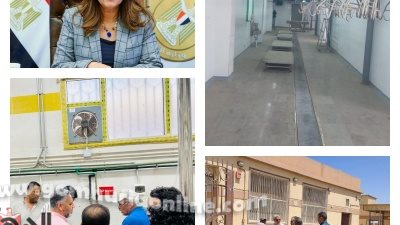 التنمية المحلية : تشغيل المجازر الحكومية الجديدة في عيد الأضحي