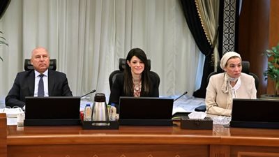 المشاط تستعرض الموقف التنفيذي للبرنامج الوطني للإصلاحات الهيكلية