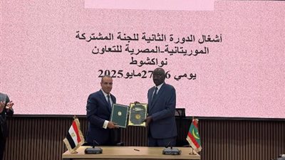 وزيرالخارجية يترأس الجانب المصري خلال أعمال اللجنة المصرية الموريتانية