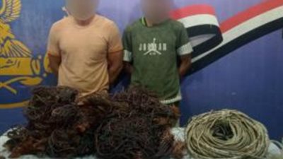 ضبط واقعتى سرقة بالقاهرة