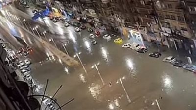 التضامن: فريق التدخل السريع بالإسكندرية يجري عملية مسح ميداني بشوارع المحافظة