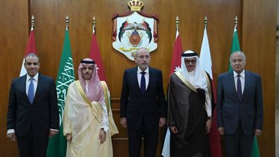 وزير الخارجية يشدد على موقف مصر الثابت برفض مخططات تهجير الفلسطينيين