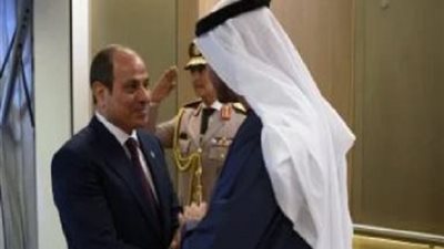 رئيس الإمارات يشيد بالجهود المصرية المتواصلة منذ بدء الأزمة فى غزة