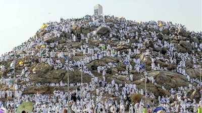 رئيس بعثة الحج: تقديم كافة التسهيلات والخدمات لحجاج القرعة في عرفات