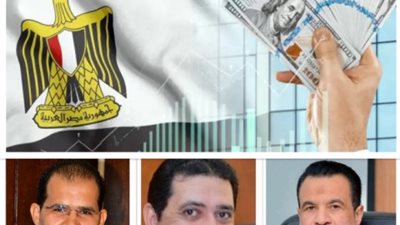 الحكومة تتوسع فى برنامج الطروحات