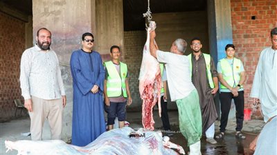 الشعب الجمهوري بقنا يوزع لحومًا بلدية على الأسر الأولى بالرعاية