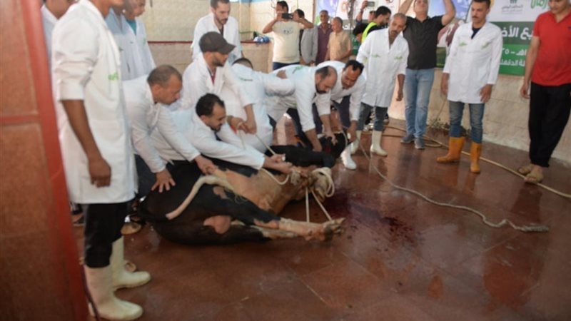 بوابة الجمهورية