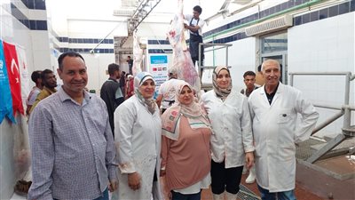 انتظام العمل داخل مجازر البحر الاحمر فى ثانى ايام عيد الأضحى
