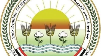وزير الزراعة يتابع أعمال لجان المرور على شوادر وأماكن بيع الأضاحي