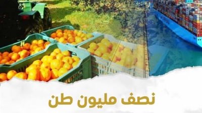 نصف مليون طن.. زيادة في الصادرات الزراعية المصرية منذ بداية العام الجاري حتى الآن