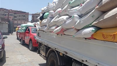 استلام اكتر من ٢٢٣ ألف طن قمح بكفرالشيخ