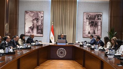 رئيس الوزراء يستعرض الفرص الاستثمارية في قطاع الكهرباء والطاقة