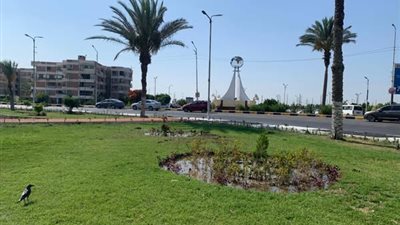 تجميل وتشجير مداخل وميادين الإسماعيلية