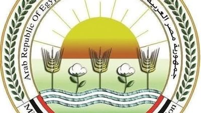 5838 أضحية.. البحر الأحمر تتصدر قائمة المحافظات الأكثر ذبحا للأضاحي