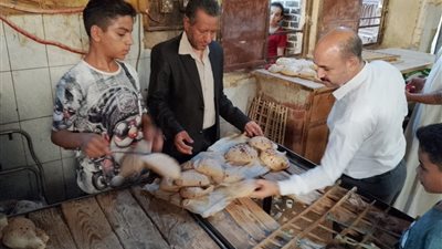 ضبط 167 مخالفة تموينية بمخابز ملوي