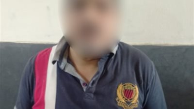 حقيقة تعدى أجنبى على كلب ضال ونفوقه بالقاهرة