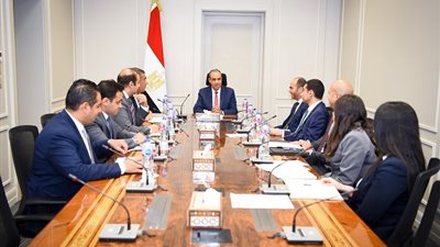 وزير الخارجية يتابع جهود الوزارة في ملفات التعاون الخارجي