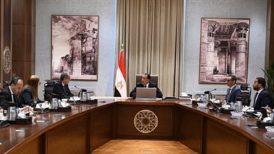 خطة حكومية لتوسيع الألياف الضوئية بالتعاون مع القطاع الخاص