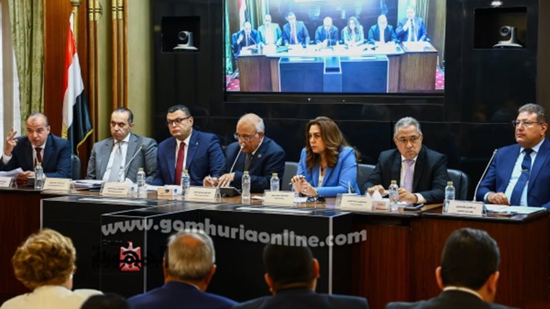 التنمية المحلية |