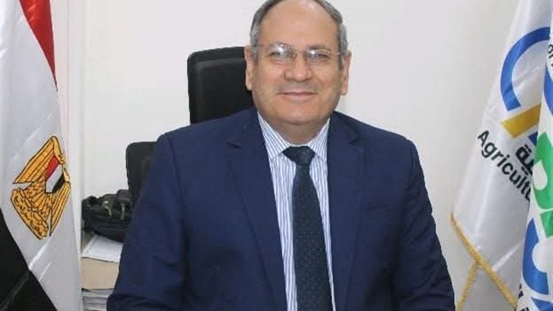 الأستاذ الدكتور عادل