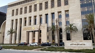 التعليم العالي: ٣.٨٥ مليار جنيه لدعم الابتكار والإبداع في البحث العلمي