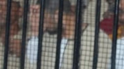 إعدام ترزي استدرج طفلًا وهتك عرضه دون رحمة في إسنا
