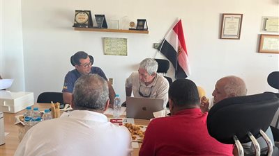 مصر تستأنف رصد اسماك القرش بالأقمار الصناعية