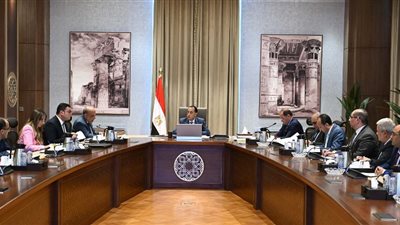 رئيس الوزراء يتابع جهود فض التشابكات الماليةبين عدد من الجهات الحكومية
