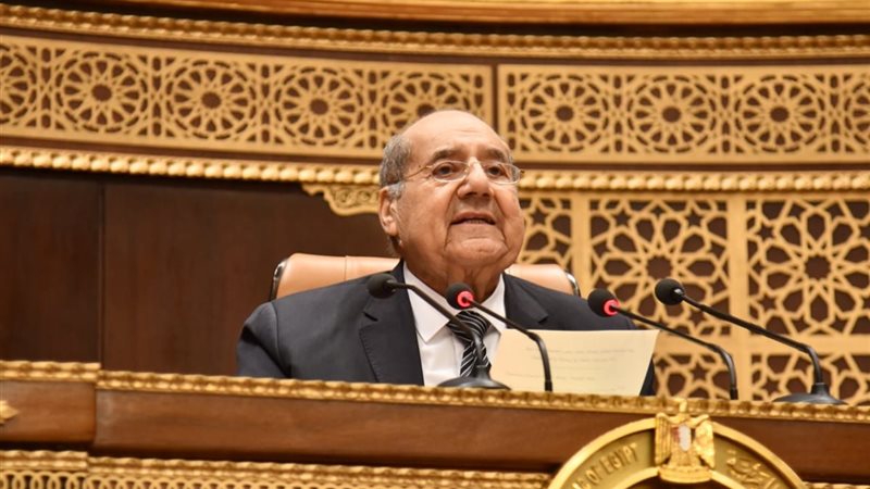 المستشار عبد الوهاب