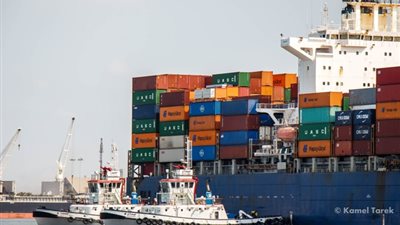 ١٠٩ ألاف طن بضائع وتصدير ٩٦٨حاوية خضار وفاكهة من ميناء دمياط