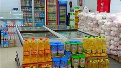 شعبة المستوردين: الحكومة تعمل وفق خطة إستراتيجية محكمة لتأمين السلع