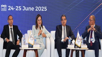 هالة السعيد: يجب تعزيز الاستثمارات في مجال الأمن السيبراني