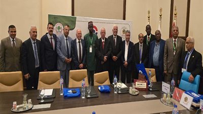 دعم وتاييدالرئيس السيسى لمواقفة المشرفة تجاة الامة العربية
