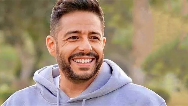 محمد حماقى