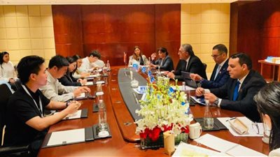وزير الاستثمار: البتروكيماويات من الركائز الاستراتيجية للصناعة المصرية