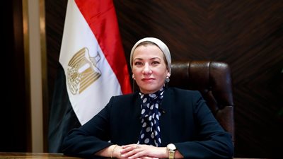 وزارة البيئة تتبع أسماك القرش بالأقمار الصناعية